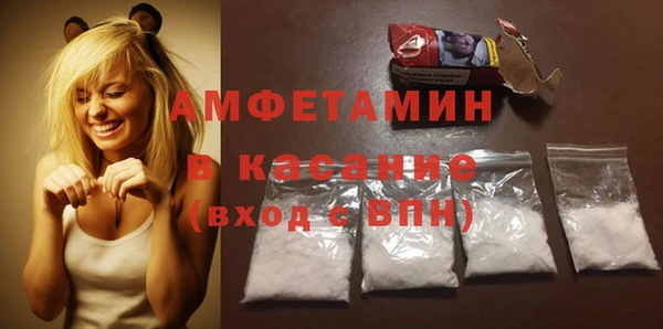 прущие грибы Дмитровск
