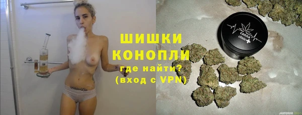 прущие грибы Дмитровск