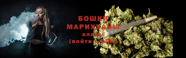 прущие грибы Дмитровск