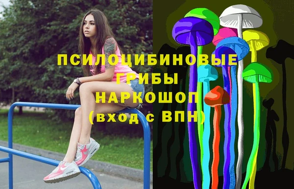 прущие грибы Дмитровск