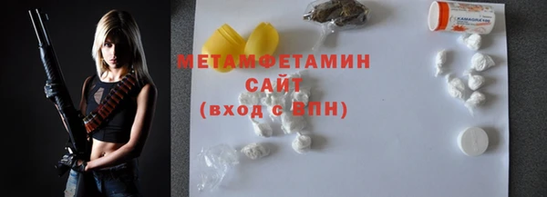 прущие грибы Дмитровск