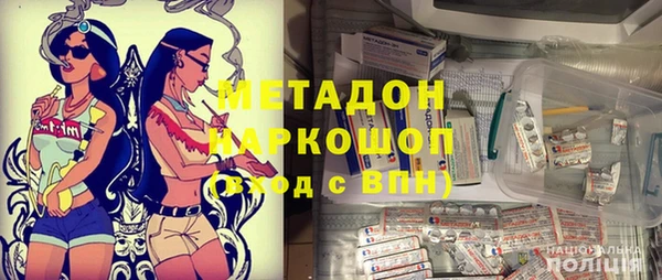 прущие грибы Дмитровск