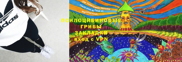 первитин Дмитриев