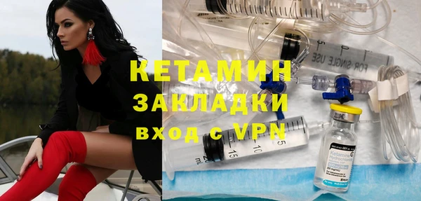 прущие грибы Дмитровск